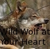 Wolf in your heart